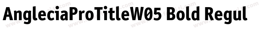 AngleciaProTitleW05 Bold Regular字体转换